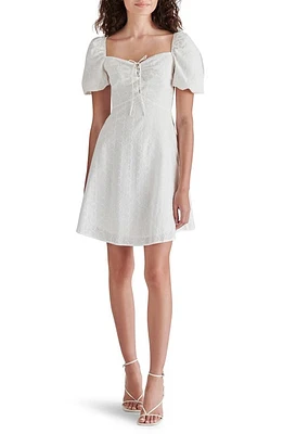 Steve Madden Violeta Eyelet Cotton Minidress White at Nordstrom,