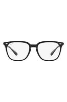 Ray-Ban 51mm Square Optical Glasses in Trans Black at Nordstrom