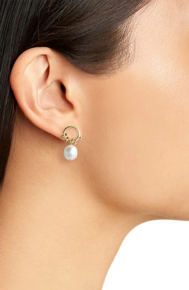 Poppy Finch Cultured Pearl Bubble Front Hoop Earrings in Gold at Nordstrom