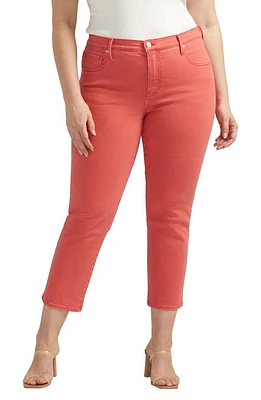 JAG Cassie Crop Straight Leg Jeans Salsa at Nordstrom,