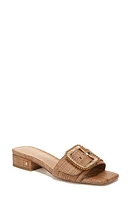 Sam Edelman Deacon Raffia Sandal at Nordstrom,