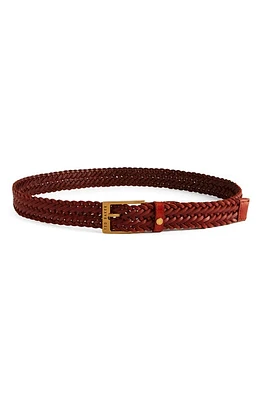 Ted Baker London Braidie Braided Leather Belt Tan at Nordstrom,