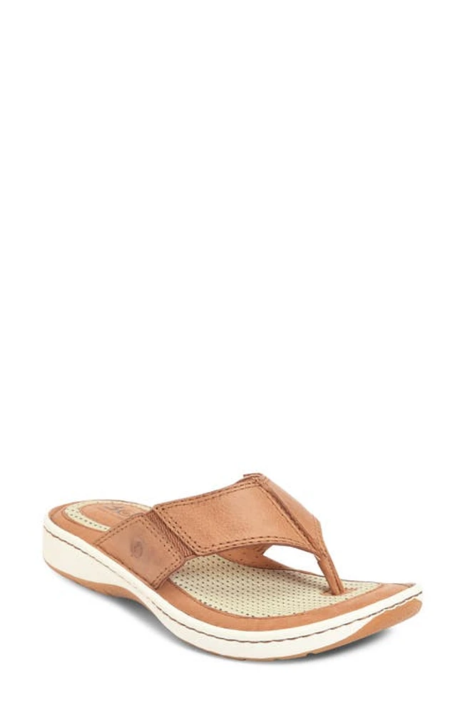 Børn Corvo Flip Flop Brown at Nordstrom,