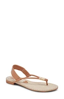 Dolce Vita Bacey Sandal Stella at Nordstrom,