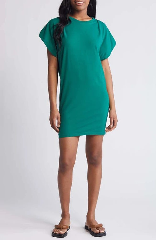 Nation LTD Layne Crewneck Pima Cotton Blend T-Shirt Minidress Verdant Green at Nordstrom,