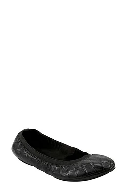 Bandolino Edition Ballet Flat Black at Nordstrom,