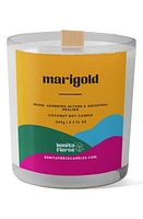 Bonita Fierce Marigold Candle in White/Yellow Multi at Nordstrom, Size One Size Oz