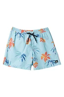 Quiksilver Kids' Everyday Mix Volley Swim Trunks at Nordstrom,