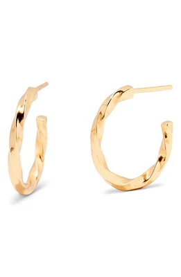 Brook and York Brooke Twisted Rope Hoop Earrings in Gold at Nordstrom