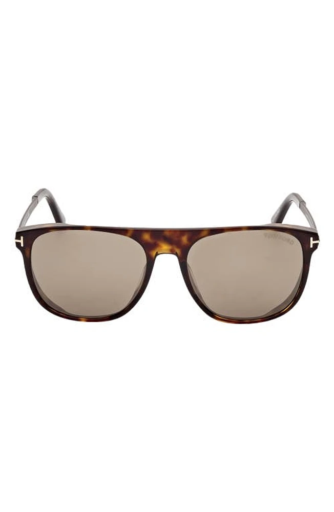 TOM FORD Lionel 55mm Square Sunglasses in Dark Havana /Roviex Gunmental at Nordstrom