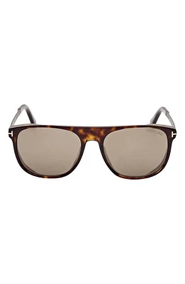 TOM FORD Lionel 55mm Square Sunglasses in Dark Havana /Roviex Gunmental at Nordstrom