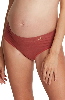 Cache Coeur Zoe Maternity Briefs at Nordstrom,