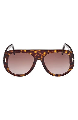 TOM FORD Cecil 55mm Pilot Sunglasses in Shiny Dark Havana /Bordeaux at Nordstrom