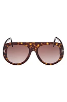 TOM FORD Cecil 55mm Pilot Sunglasses in Shiny Dark Havana /Bordeaux at Nordstrom