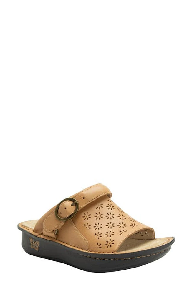 Alegria by PG Lite Klover Platform Sandal at Nordstrom,