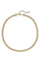 Nordstrom Foxtail Flat Chain Necklace in Gold at Nordstrom