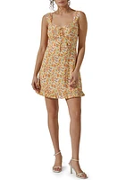 ASTR the Label Floral Lace Trim Mini Sundress at Nordstrom,