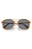 Persol 55mm Square Sunglasses in Striped Brown at Nordstrom