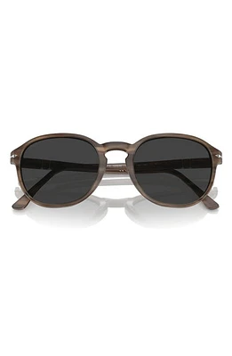 Persol 53mm Polarized Pillow Sunglasses in Striped Brown at Nordstrom