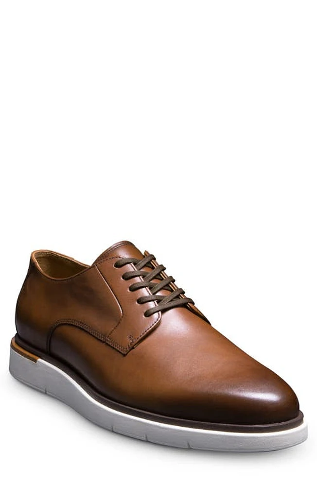 Allen Edmonds Carson Derby Chili at Nordstrom,