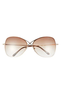 TOM FORD Colette 63mm Oversized Sunglasses in Shiny Rose Gold/Dark Brown at Nordstrom