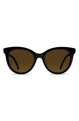 Vincero Demi 53mm Polarized Round Sunglasses in Jet Black Brown at Nordstrom