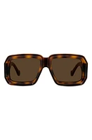 Loewe x Paula's Ibiza 56mm Mask Sunglasses in Dark Havana /Brown Mirror at Nordstrom