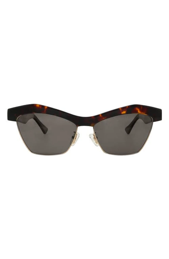 Banbé The Erin Polarized Square Sunglasses in Havana-Jet at Nordstrom