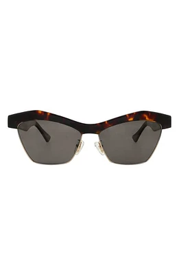 Banbé The Erin Polarized Square Sunglasses in Havana-Jet at Nordstrom