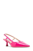 Steve Madden Legaci Kitten Heel Pointed Toe Pump at Nordstrom,