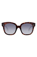 CELINE 54mm Square Sunglasses in Red Havan/Smoke at Nordstrom