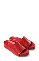 Beek Pelican Slide Sandal at Nordstrom,