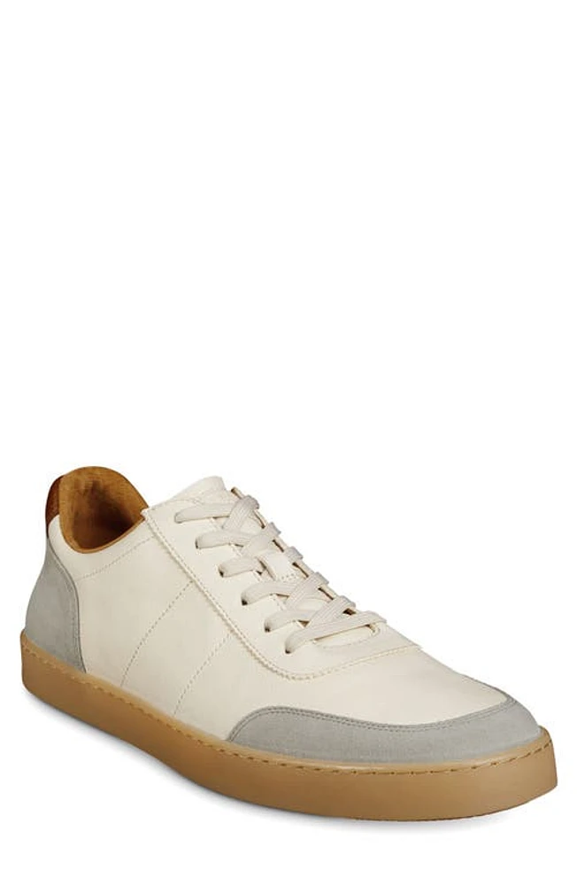 Allen Edmonds Liam Sneaker Ivory at Nordstrom,