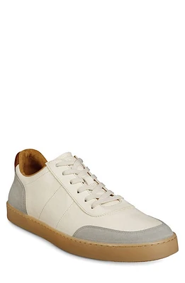 Allen Edmonds Liam Sneaker Ivory at Nordstrom,