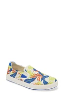 OluKai Lae'ahi Pa'I Slip-On Sneaker at Nordstrom,