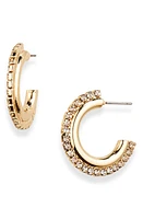 Panacea Crystal Edge Hoop Earrings in Gold at Nordstrom