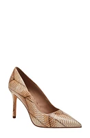 Katy Perry The Revival Pointed Toe Pump at Nordstrom