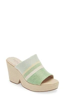 Cecelia New York Frost Wedge Slide Sandal Raffia at Nordstrom,