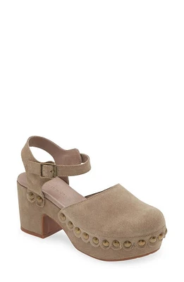 Chocolat Blu Garvey Platform Clog Taupe Suede at Nordstrom,