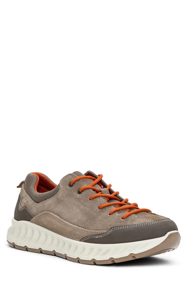 ara Prague Sneaker Beige at Nordstrom,