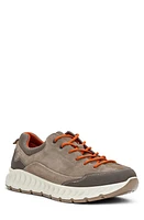 ara Prague Sneaker Beige at Nordstrom,