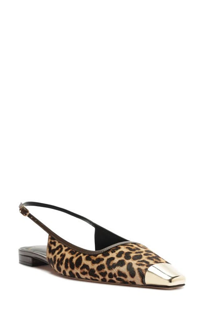 Alexandre Birman Olivia Genuine Calf Hair Cap Toe Slingback Flat Testa Di Moro at Nordstrom,