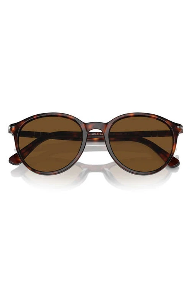 Persol 53mm Polarized Phantos Sunglasses in Havana at Nordstrom