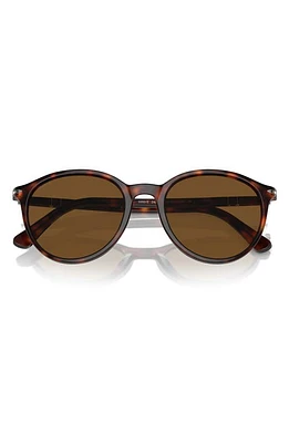 Persol 53mm Polarized Phantos Sunglasses in Havana at Nordstrom