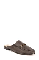 Sam Edelman Linnie Mule - Wide Width Available Pinto Brown at Nordstrom,