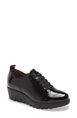 Wonders Wedge Oxford Black at Nordstrom,