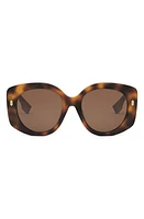 'Fendi Roma 62mm Overize Round Sunglasses in Blonde Havana /Brown at Nordstrom