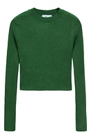 MANGO Rib Crewneck Sweater at