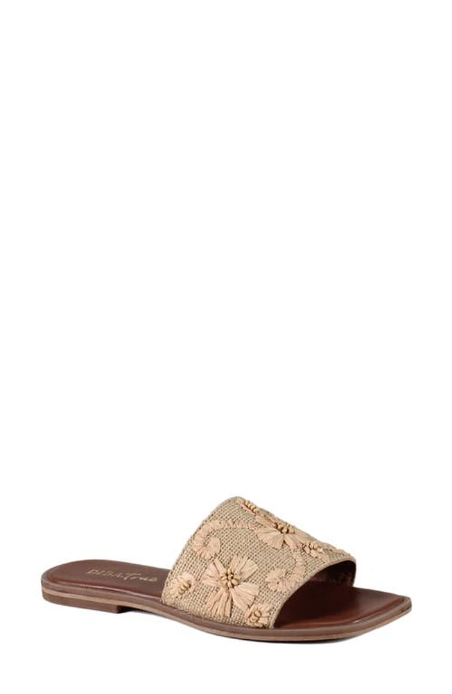 Diba True Viva City Slide Sandal Natural at Nordstrom,