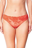 Huit Brandy Bikini Briefs Brick at Nordstrom,